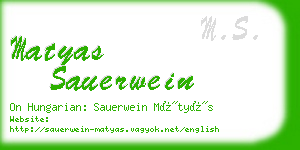matyas sauerwein business card